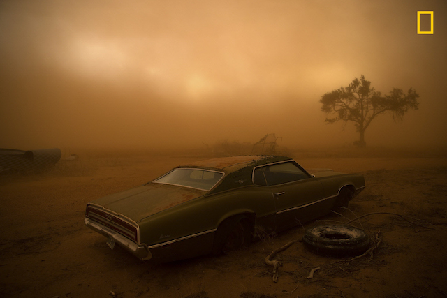 THUNDERBIRD IN THE DUST PHOTO AND CAPTION BY NICHOLAS MOIR