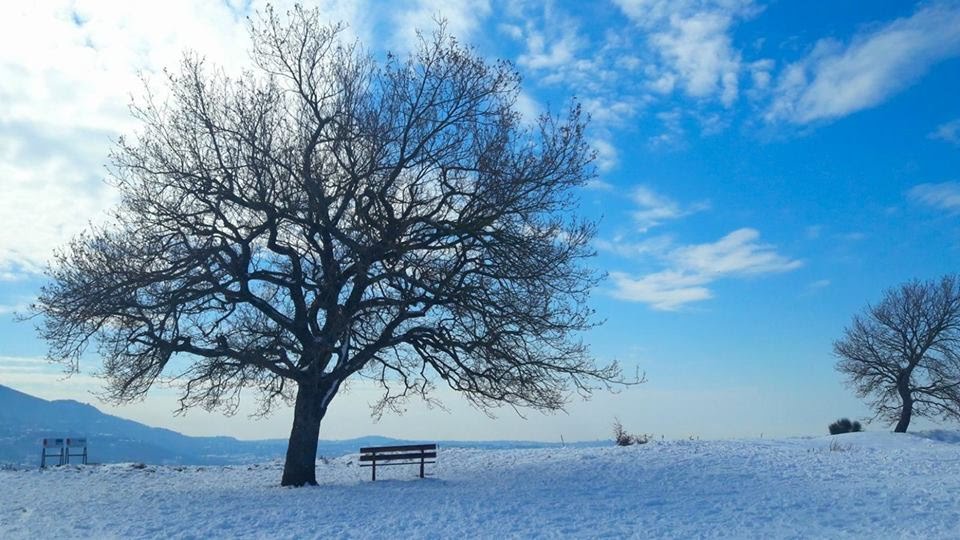 nemi-is-a-town-in-the-metropolitan-city-of-rome-Neve_al_Tuscolo.jpg