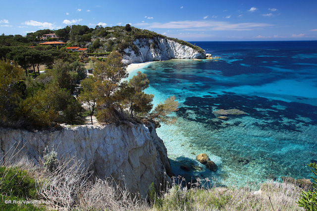 the-island-of-elba--italy-©R.Ridi2292.jpg