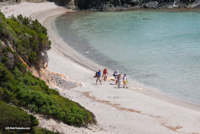 the-island-of-elba--italy-©R.Ridi3556.1OD.jpg