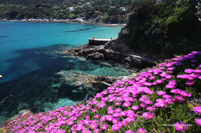 the-island-of-elba--italy-©R.Ridi7655.jpg