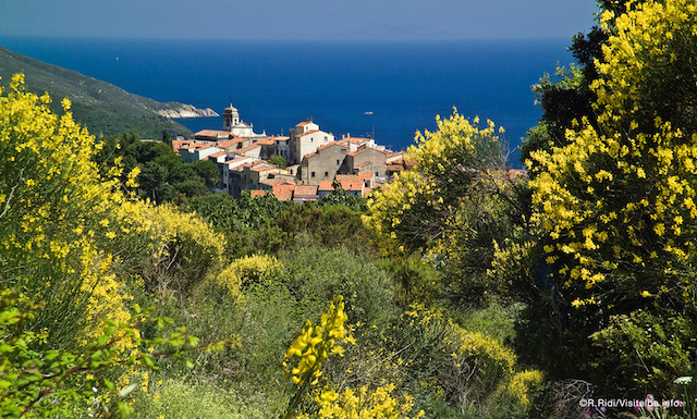 the-island-of-elba--italy-©R.Ridi7780.jpg