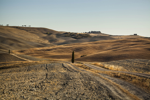 the-val-d’orcia-park-pesaggio.jpg