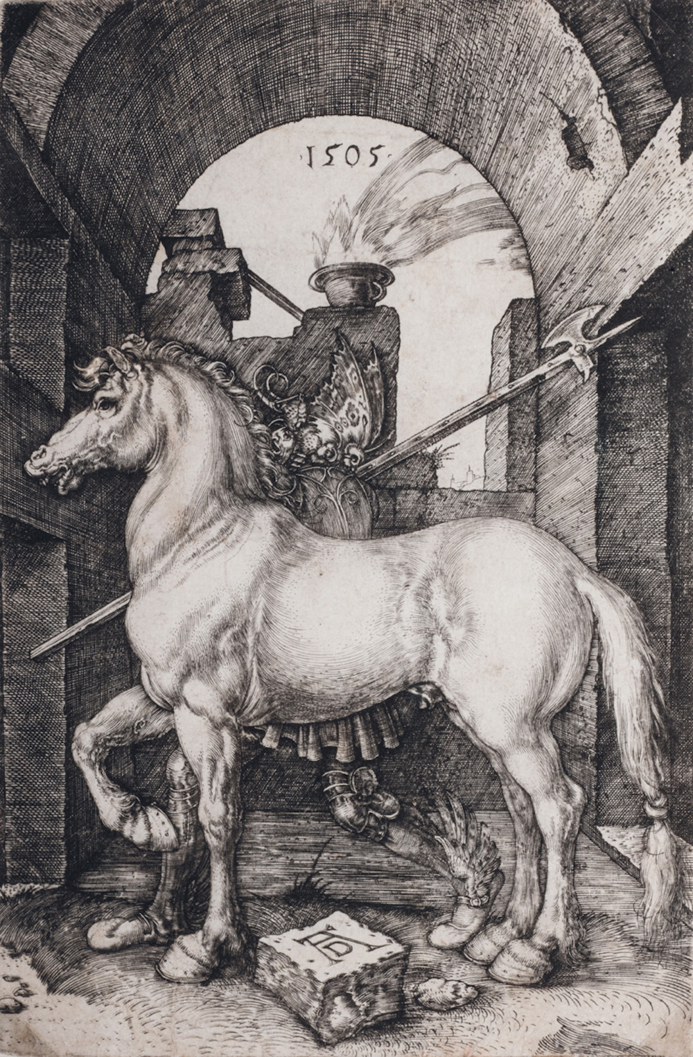 exhibition-albrecht-dürer-32_PICCOLO_CAVALLO.jpg