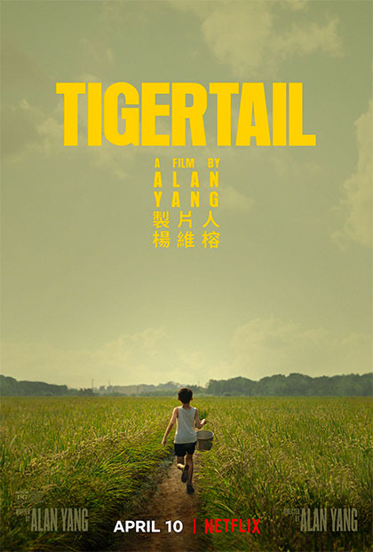 the-best-recent-movies-to-watch-on-netflix--the-half-of-it-and-tigertail-IMG_0552.JPG