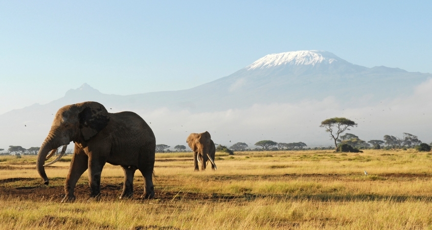 amboseli-national-park---kenya---images-getting-to-Amboseli-national-park-845x450.jpg