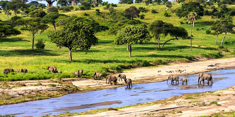 the-serengeti-national-park---tanzanian---images-weather-serengeti-tanzania.jpg